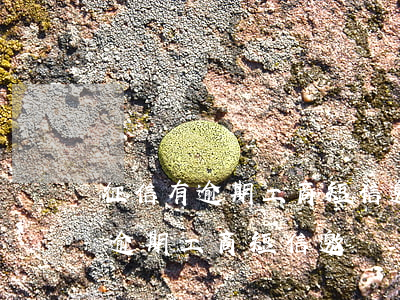征信有逾期工商短信邀請辦信用卡-征信有逾期工商短信邀請辦信用卡有影響嗎