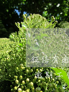 征信有逾期工行邀約信用卡能過嘛-征信有逾期工行邀約信用卡能過嘛有影響嗎
