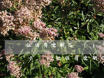 征信有逾期已經(jīng)還清能辦信用卡嗎-征信有逾期已經(jīng)還清能辦信用卡嗎知乎