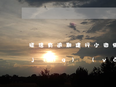 征信有逾期建行小微快貸(建行小微快貸經(jīng)驗(yàn)分享)