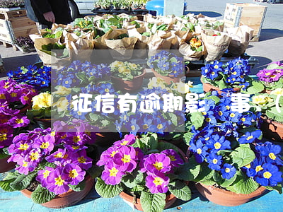 征信有逾期影響事業(yè)單位提拔嗎-