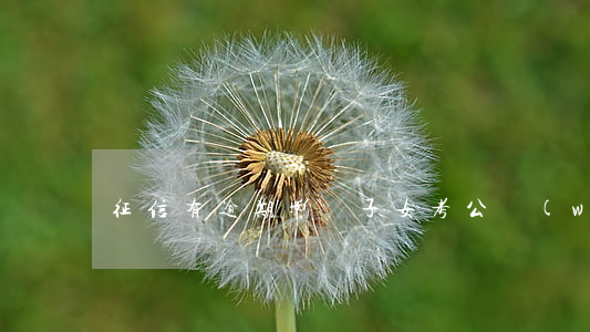 征信有逾期影響子女考公務(wù)員嗎-
