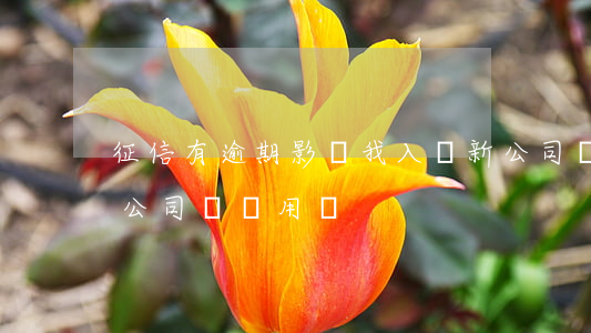 征信有逾期影響我入職新公司嗎(征信有逾期公司會錄用嗎)