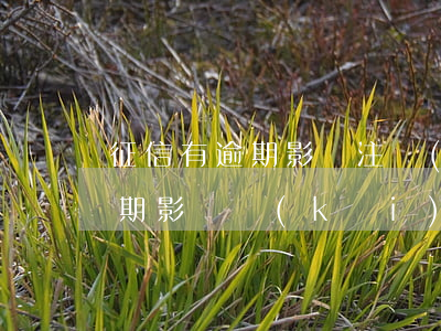 征信有逾期影響注冊(cè)公司嗎(征信逾期影響開(kāi)公司嗎)