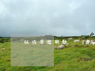 征信有逾期影響還房貸嘛