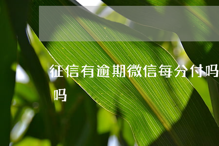 征信有逾期微信每分付吗(微信分付上征信了吗)