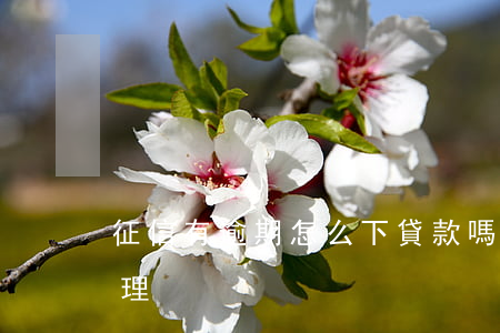 征信有逾期怎么下貸款嗎(征信有逾期如何處理)
