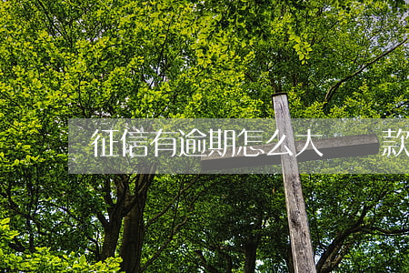 征信有逾期怎么大額貸款(征信逾期太多怎么辦)