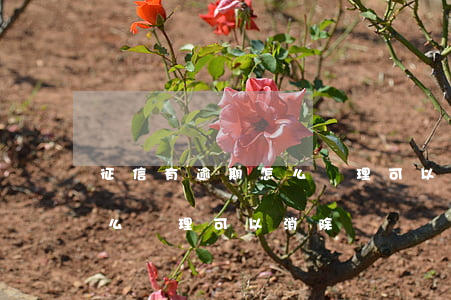 征信有逾期怎么處理可以消除(征信有逾期怎么處理可以消除)