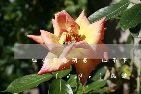 征信有逾期房貸批不下來(lái)(征信問題導(dǎo)致房貸批不下來(lái))