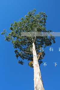 征信有逾期房貸批不下來(征信問題導致房貸批不下來)