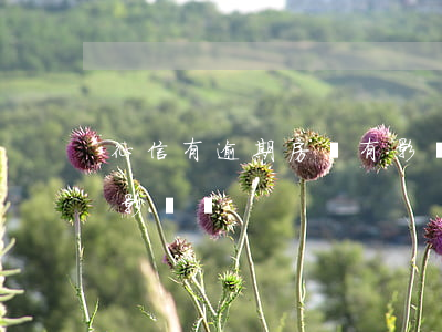征信有逾期房貸有影響嗎(征信有逾期房貸有影響嗎)