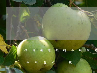 征信有逾期找不到公司-征信有逾期找不到公司怎么處理