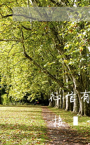 征信有逾期招商下卡了（招商信用卡逾期后直接從卡上款）