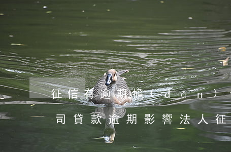 征信有逾期擔(dān)任法人影響貸款(公司貸款逾期影響法人征信嗎)
