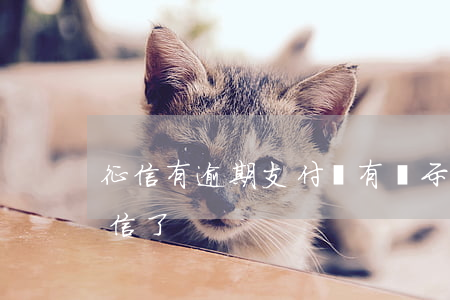 征信有逾期支付寶有顯示嗎(支付寶逾期上征信了)