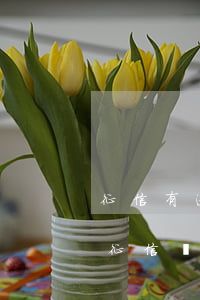 征信有逾期是不是辦不了信用卡（信用卡逾期征信沒(méi)事）