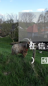 征信有逾期會(huì)影響當(dāng)國家消防員嗎-征信有逾期會(huì)影響當(dāng)國家消防員嗎知乎
