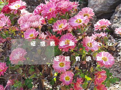 征信有逾期會(huì)把銀行卡全部異常嗎-征信有逾期會(huì)把銀行卡全部異常嗎怎么辦