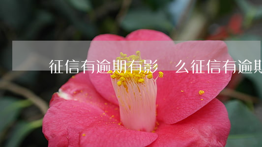 征信有逾期有影響么 征信有逾期影響大不大