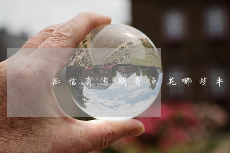 征信有逾期有点花哪些平台可以用