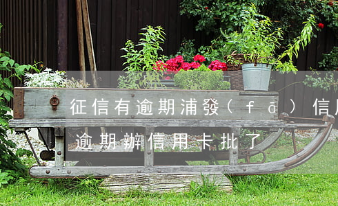 征信有逾期浦發(fā)信用卡能批嗎(征信逾期辦信用卡批了)