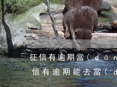 征信有逾期當(dāng)兵能過政審嘛(征信有逾期能去當(dāng)兵嗎)