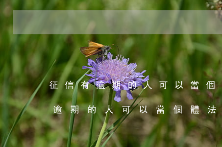 征信有逾期的人可以當個體法人嗎-征信有逾期的人可以當個體法人嗎知乎