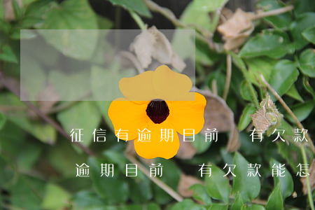 征信有逾期目前還有欠款能怎么辦-征信有逾期目前還有欠款能怎么辦呢