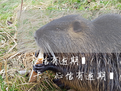 征信有逾期結(jié)清多久可以辦信用卡-征信有逾期結(jié)清多久可以辦信用卡了