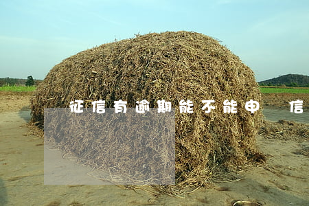 征信有逾期能不能申請信用卡貸款