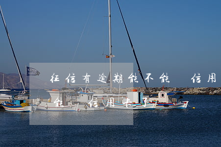 征信有逾期能不能辦信用卡(征信有逾期能不能辦信用卡了)