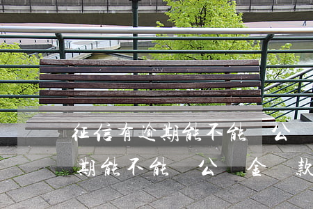 征信有逾期能不能辦公積金貸款-征信有逾期能不能辦公積金貸款買房