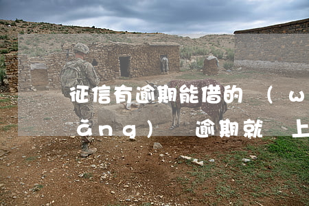 征信有逾期能借的網(wǎng)貸(網(wǎng)貸逾期就會上征信嗎)