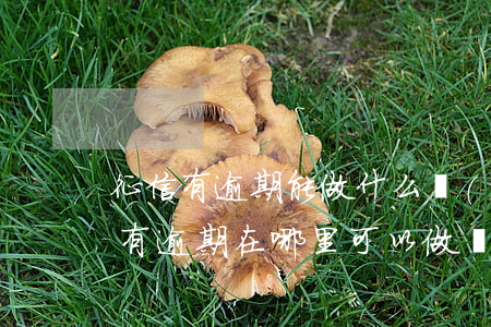 征信有逾期能做什么網(wǎng)貸(征信有逾期在哪里可以做網(wǎng)貸)