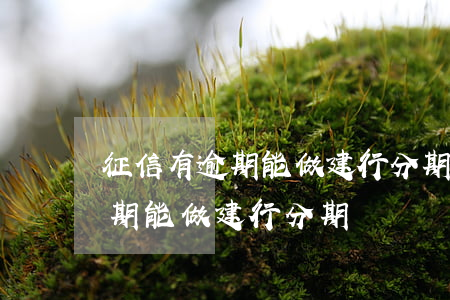 征信有逾期能做建行分期專員嗎-征信有逾期能做建行分期專員嗎安全嗎