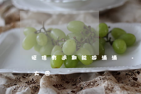 征信有逾期能做滴滴嗎-征信有逾期可以坐大巴嗎