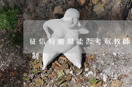 征信有逾期能否考取教師/事業(yè)編制？