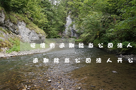 征信有逾期能当公司法人开公户吗-征信有逾期能当公司法人开公户吗有影响吗