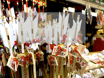 征信有逾期能当担保么(征信有逾期还能做担保人吗)