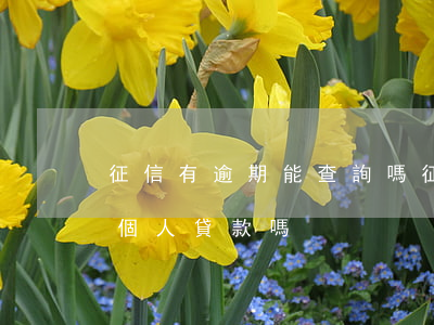 征信有逾期能查詢嗎(征信報告有逾期能辦理個人貸款嗎)