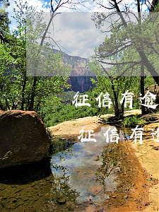 征信有逾期能調(diào)整額度嗎知乎（征信有逾期能調(diào)整額度嗎）