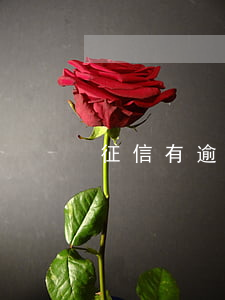 征信有逾期能買房么-征信逾期能買房子嗎