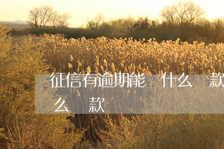 征信有逾期能辦什么貸款(征信有逾期能辦什么貸款)