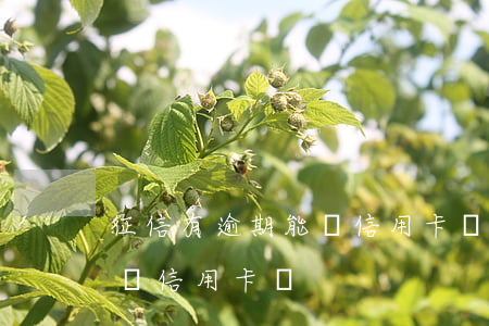征信有逾期能辦信用卡嗎(征信有逾期還能申請信用卡嗎)