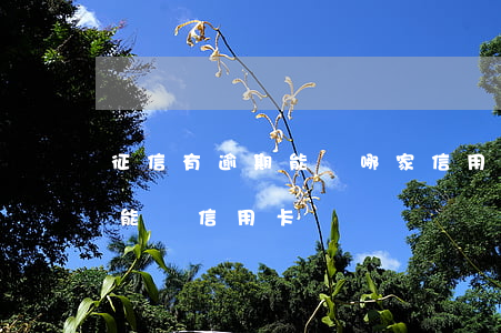 征信有逾期能辦哪家信用卡(個人征信有逾期能辦信用卡嗎)