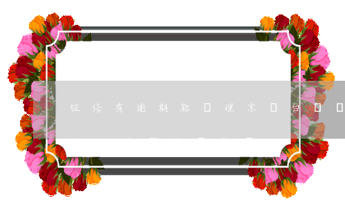 征信有逾期能辦理京東白條嗎(京東白條逾期上征信可以貸款嗎)
