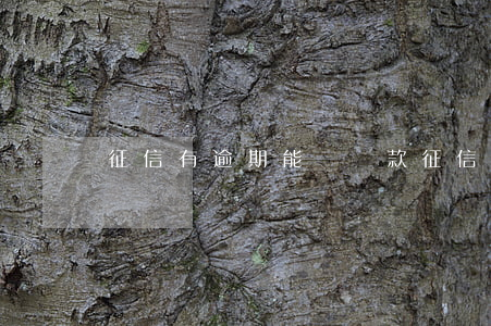 征信有逾期能辦貸款(征信上有逾期可以貸款嗎)
