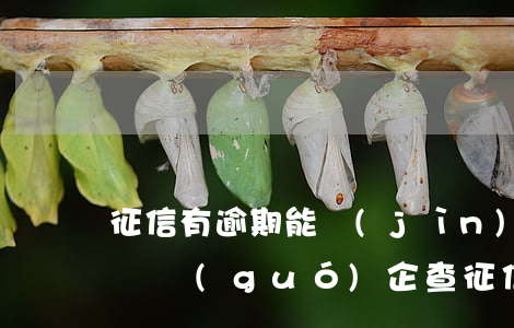 征信有逾期能進(jìn)國(guó)企嗎(國(guó)企查征信有貸款無(wú)逾期)