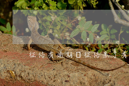 征信有逾期與征信黑了有什么區(qū)別